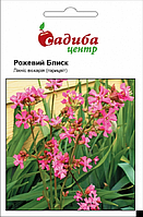 Ліхніс віскарія Рожевий Блиск, 0,1 г, Садиба Центр