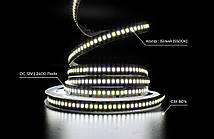 LED стрічка PROLUM™ 12V; 2835\240; IP20; Series "SG", Білий (5500-6000К), фото 2