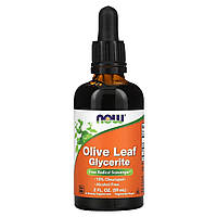 Листья оливы, глицериновый экстракт в каплях, Olive Leaf Glycerite, Now Foods, 59 мл