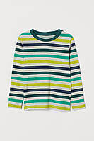 Футболка-лонгслив трикотажная для мальчика H&M 0813504-011 110-116 см (4-6 years) Комбинированный