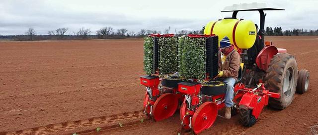 Рассадопосадочная машина в Украине