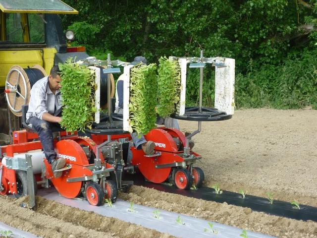 Купить рассадопосадочную машину в Киеве