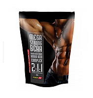 Амінокислота Power Pro BCAA 2-1-1 300g  Power Pro (Style) (1089-4820113922169)