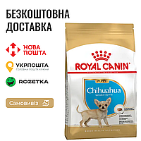 Сухой корм Royal Canin Chihuahua Puppy для щенков породы чихуахуа, 0.5 КГ