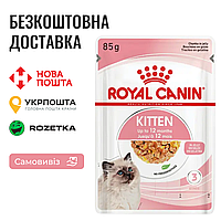 Royal Canin Kitten Jelly | Влажный корм в желе для котят на каждый день, 85г