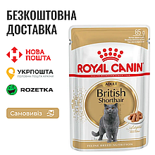 Royal Canin British Shorthair | Вологий корм для котів породи британська короткошерста, пауч 85г