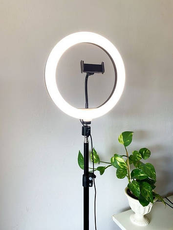 Світлодіодна кільцева лампа Ring Fill Light QX-300 30 см + штатив 2м Набір блогера, фото 1