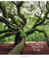 Зошит 48арк. кліт. Star "The Sound of life" УФ лак №048-3347K(10)(100)