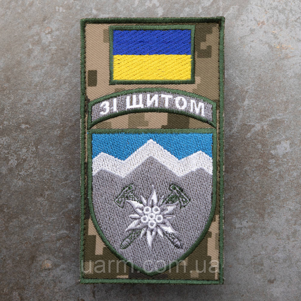 Шеврон-заглушка 10 ОГШБр "Зі щитом" піксель