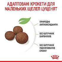 ROYAL CANIN MEDIUM PUPPY сухий корм для цуценят середніх порід 1 кг, фото 4