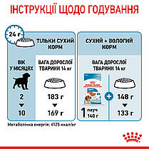 ROYAL CANIN MEDIUM PUPPY сухий корм для цуценят середніх порід 1 кг, фото 3