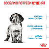 ROYAL CANIN MEDIUM PUPPY сухий корм для цуценят середніх порід 1 кг, фото 6