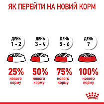 ROYAL CANIN MEDIUM PUPPY сухий корм для цуценят середніх порід 1 кг, фото 2