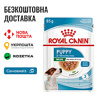 Royal Canin Mini Puppy | Влажный корм в соусе для взрослых собак мелких размеров, 85г