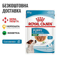 Влажный корм Royal Canin Mini Puppy для взрослых собак мелких размеров в соусе, 85г