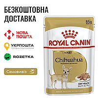 Royal Canin Chihuahua Adult | Влажный корм в соусе для Чихуахуа, 85г