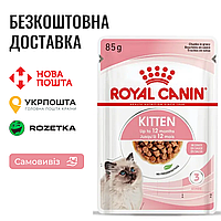 Royal Canin Kitten Gravy | Влажный корм в соусе для котят на каждый день, 85г