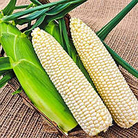 Кукуруза Сахарная Русалка гигант-пакет Белый, бежевый, кремовый Семена 20 гшт. Florium