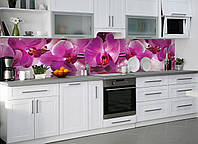 Наклейки кухонный фартук Zatarga Пышные розовые Орхидеи 650х2500мм Розовый (Z180257 1) TS, код: 5562841