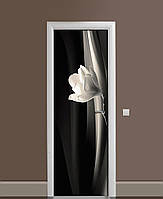 Наклейка на дверь Zatarga «Белый олеандр» 650х2000 мм виниловая 3Д наклейка декор самоклеящая FE, код: 6513211