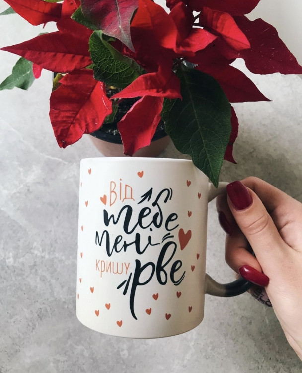 Кружка Від тебе мені кришу рве, фото 1