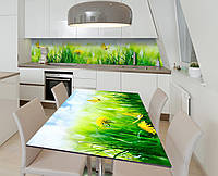 Наклейка 3Д виниловая на стол Zatarga «Солнечные одуванчики» 600х1200 мм для домов, квартир, DT, код: 6443577