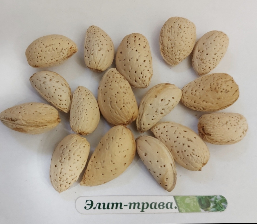 Гіркий мигдаль 100 грамм