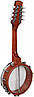 Мандолина банджо Richwood RMBM-408, фото 2