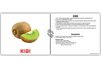 Розвиваюча гра Картки Домана "Велика валіза" Вундеркінд з пелюшок українська мова 20 наборів і книга, фото 2