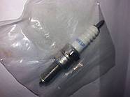 Свічка 4T M10 19 мм на скутери HONDA 50 DIO 56/57 SUZUKI LETS 4/5 YAMAHA SA36/39 фірма LIPAL