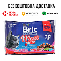 Набор влажных кормов Brit Premium Cat Pouch «Мясная тарелка» для котов, 4 шт х 100 г