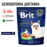 Сухой корм Brit Premium Cat by Nature Sterilized Salmon для стерилизованных кошек, с лососем, 300 г