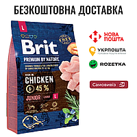 Сухой корм Brit Premium Dog Junior L для щенков и юниоров больших пород, с курицей, 3 кг