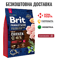 Сухой корм Brit Premium Dog Adult L для взрослых собак больших пород, с курицей, 3 кг