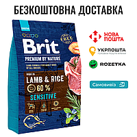 Сухой корм Brit Premium Dog Sensitive Lamb для собак с чувствительным пищеварением, с ягненком, 3 кг