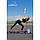 Блок для йоги 2  шт (пара) PowerPlay 4006 Yoga Brick EVA Мятні, фото 10
