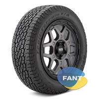 Шина всесезонна BFGoodrich Trail-Terrain T/A 225/65 R17 102T ORWL