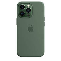 Силіконовий чохол для iPhone з підтримкою Magsafe зелений - iPhone 12/12 Pro
