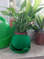 Маленький горшок для цветов настольный "Одиш" декоративный Цветочный горшок кашпо на полку для дома и офиса Зелёный