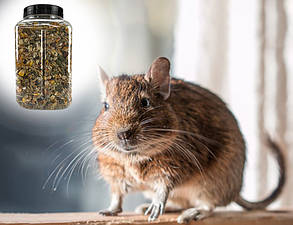 Корм Буся, Degu, Натуральный корм для кормления белок дегу, для ежедневного кормления 550 гр, фото 4