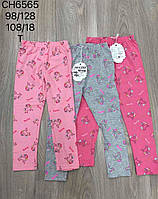 Лосини для дівчат оптом, S&D, 98-128 см, № CH-6565, фото 2