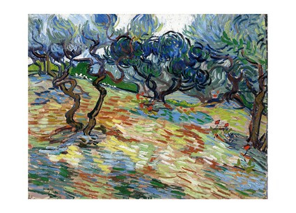 Листівка Vincent van Gogh — The Olive Trees