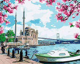 Картина за номерами "Яскравий Стамбул" 40х50см, в термопакеті, ТМ Ідейка, Україна
