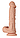 Фалоїмітатор великий 26 см діаметр 5,5 см із мошокою на присоску BAILE — Beautiful Bergrisi, новинка 2024, фото 5