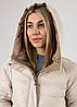 Куртка жіноча бежева довга демісезонна Vivilona L, фото 4
