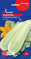 Насіння Кабачка Грибовський (15г), Professional, TM GL Seeds