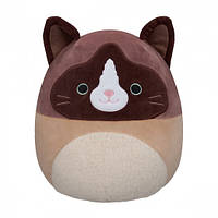 Мягкая игрушка Squishmallows Кот Вудворд (30 cm) SQCR05423