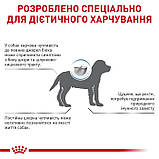 Сухий корм для цуценят ROYAL CANIN HYPOALLERGENIC PUPPY з алергією 1,5 кг, фото 5