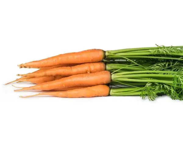 Морква Карвора F1 (Насіння) Seminis 200 000 шт