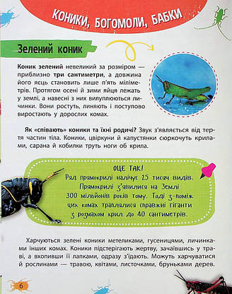 Книга для дітей "Мініенциклопедія. Комахи та павуки" | Віват, фото 3
